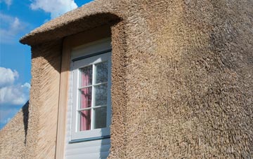 Pather thatch roof disadvantages