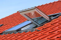 Pather roof window
